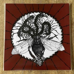 Fogged by Fleshflies -  Separate The "11" To Terror Numeric Value.. TEST PRESS LP