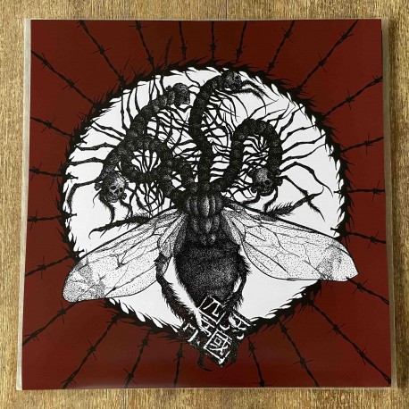 Fogged by Fleshflies -  Separate The "11" To Terror Numeric Value.. TEST PRESS LP