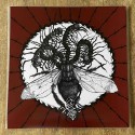 Fogged by Fleshflies -  Separate The "11" To Terror Numeric Value.. TEST PRESS LP