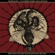 Fogged by Fleshflies -  Separate The "11" To Terror Numeric Value.. LP