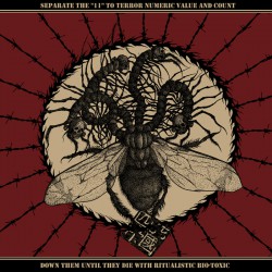 Fogged by Fleshflies -  Separate The "11" To Terror Numeric Value.. LP