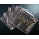 Vicarivs Filii Dei - Intra Ecclesiam Salus Non Est CD