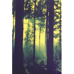 Thy Serpent ‎– Christcrusher Tape
