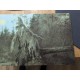 Burzum - Filosofem DLP