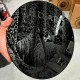 Ildjarn - Forest Poetry DLP