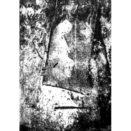 Bacht’n de Vulle Moane - Verdwazing Der Dwazen TAPE