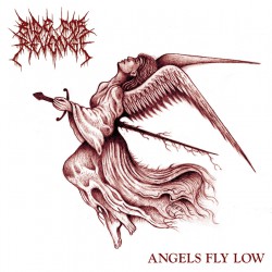 Ride For Revenge - Angels Fly Low LP