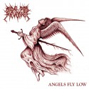 Ride For Revenge - Angels Fly Low LP