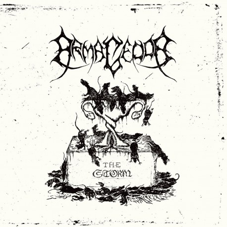 Armagedda - The Storm 7" EP