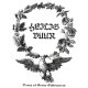 Heilig Vuur - Dance of the Stone Silhouettes digipak-CD