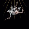 Deathspell Omega - Fas - Ite, Maledicti in Ignem Aeternum Digipak-CD